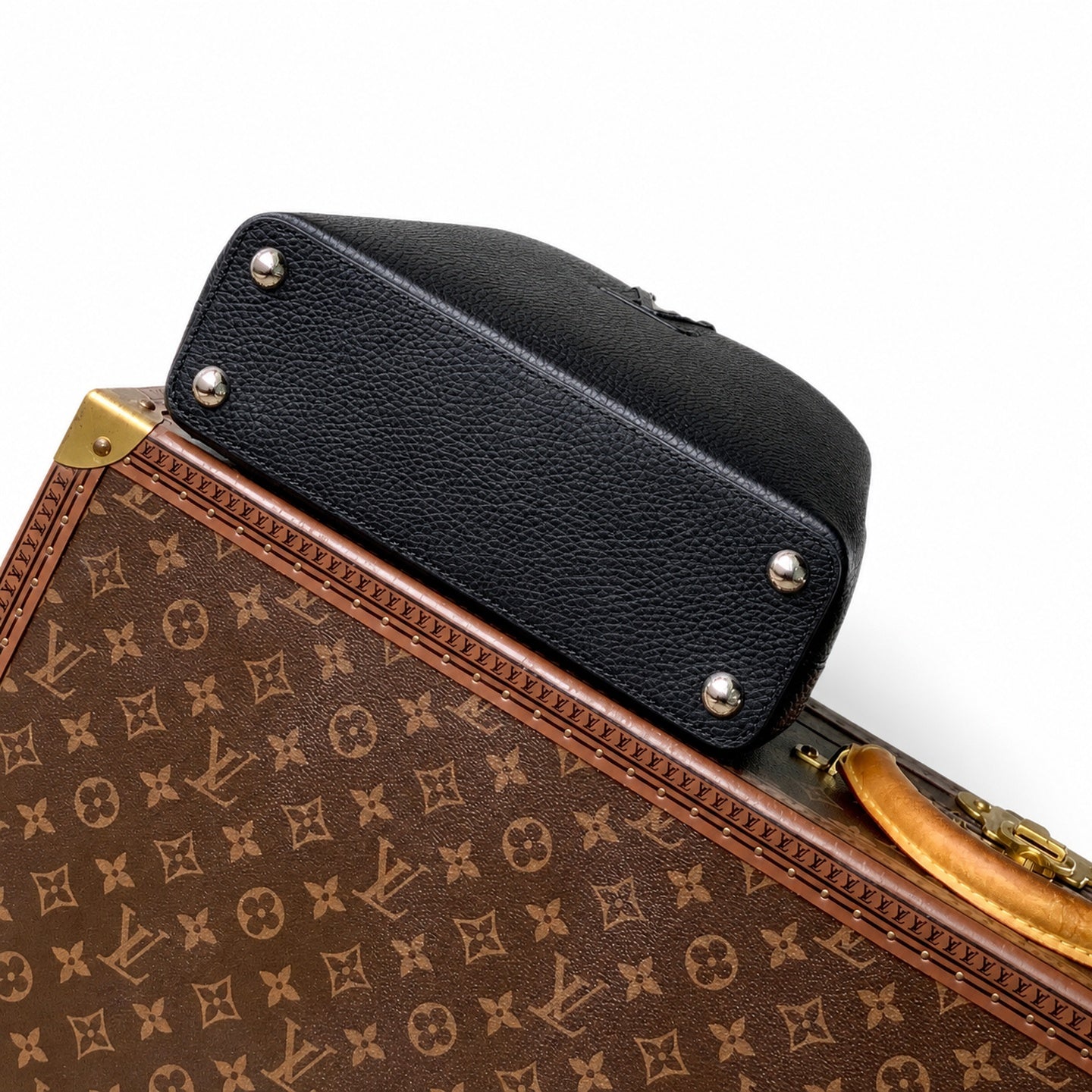 Louis Vuitton Capucines Small Snakeskin Leather Handbag