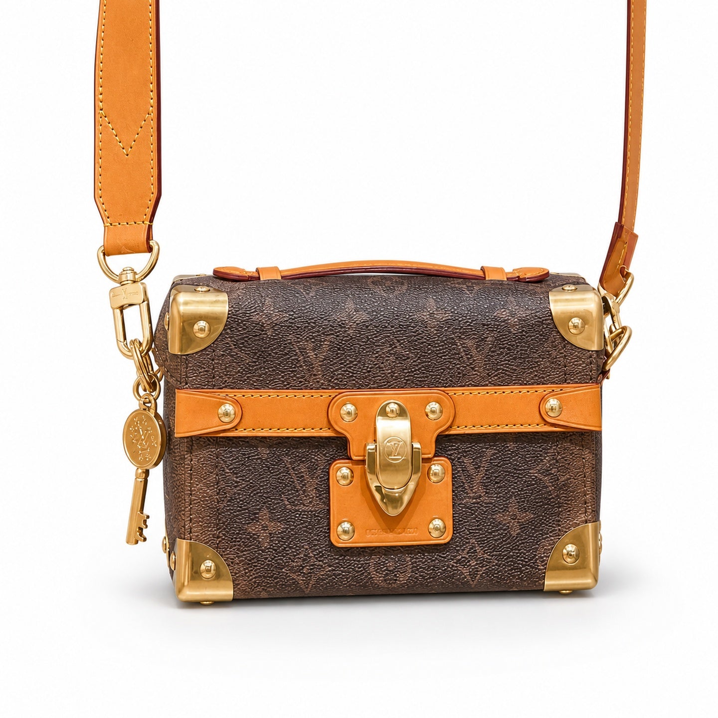 Louis Vuitton Canvas Leather Handbag