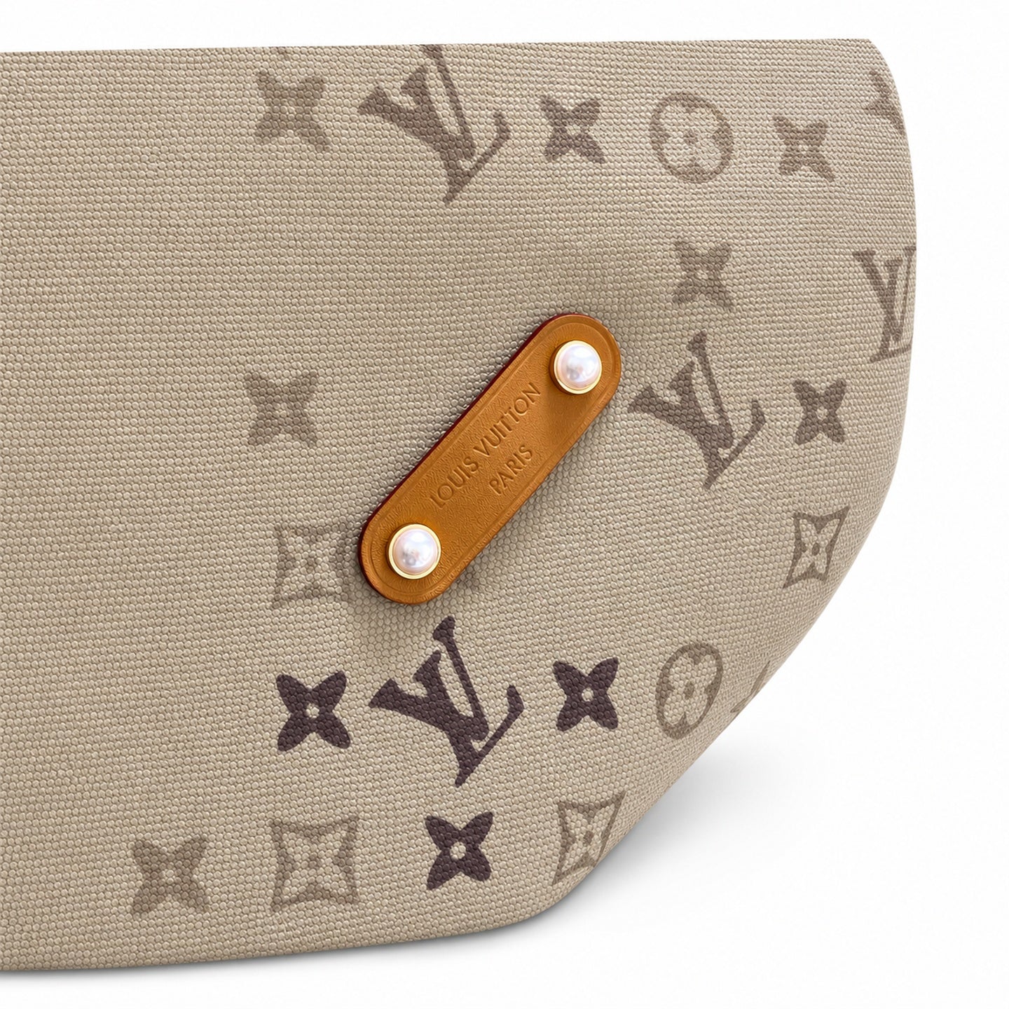 Louis Vuitton Canvas Handbag