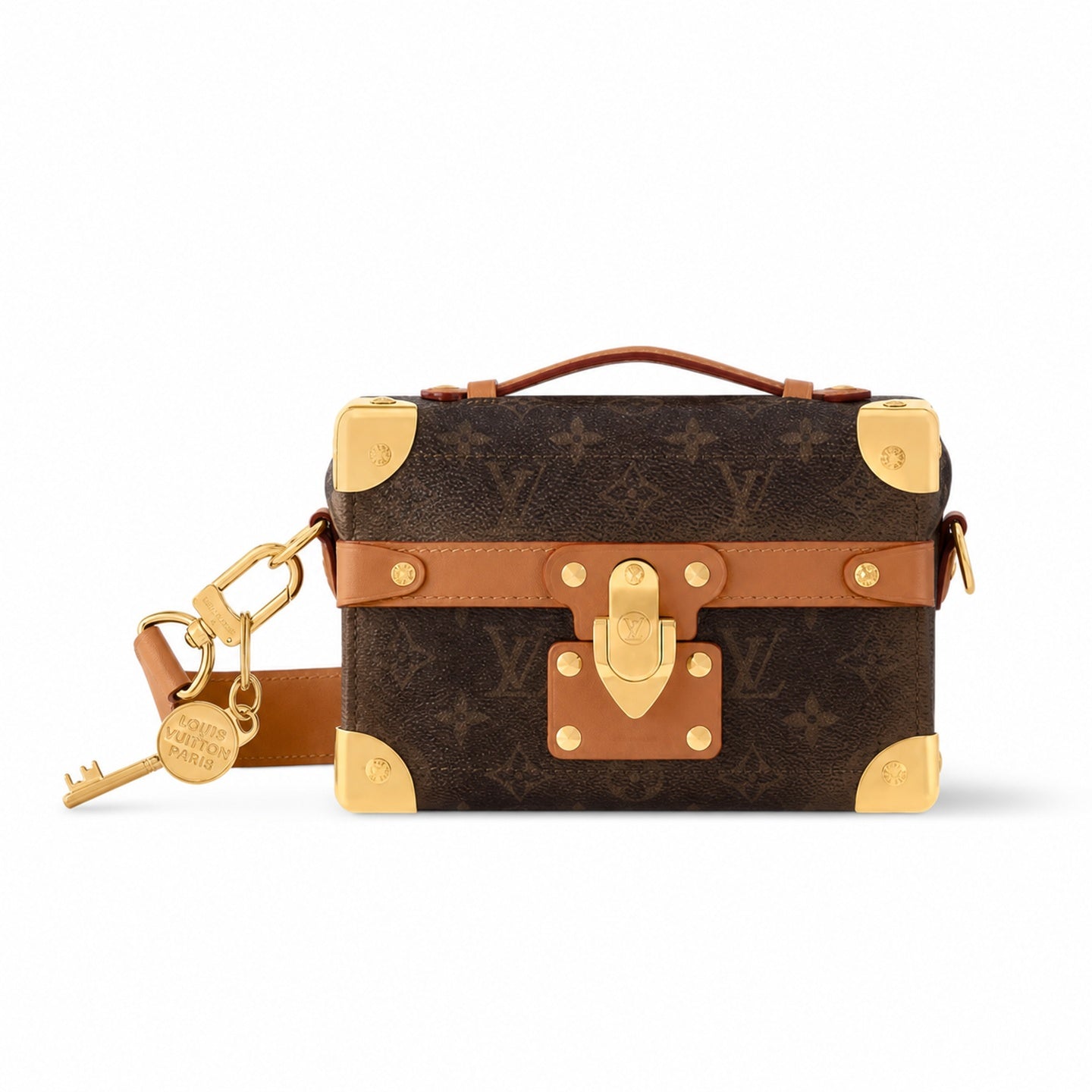 Louis Vuitton Canvas Leather Handbag