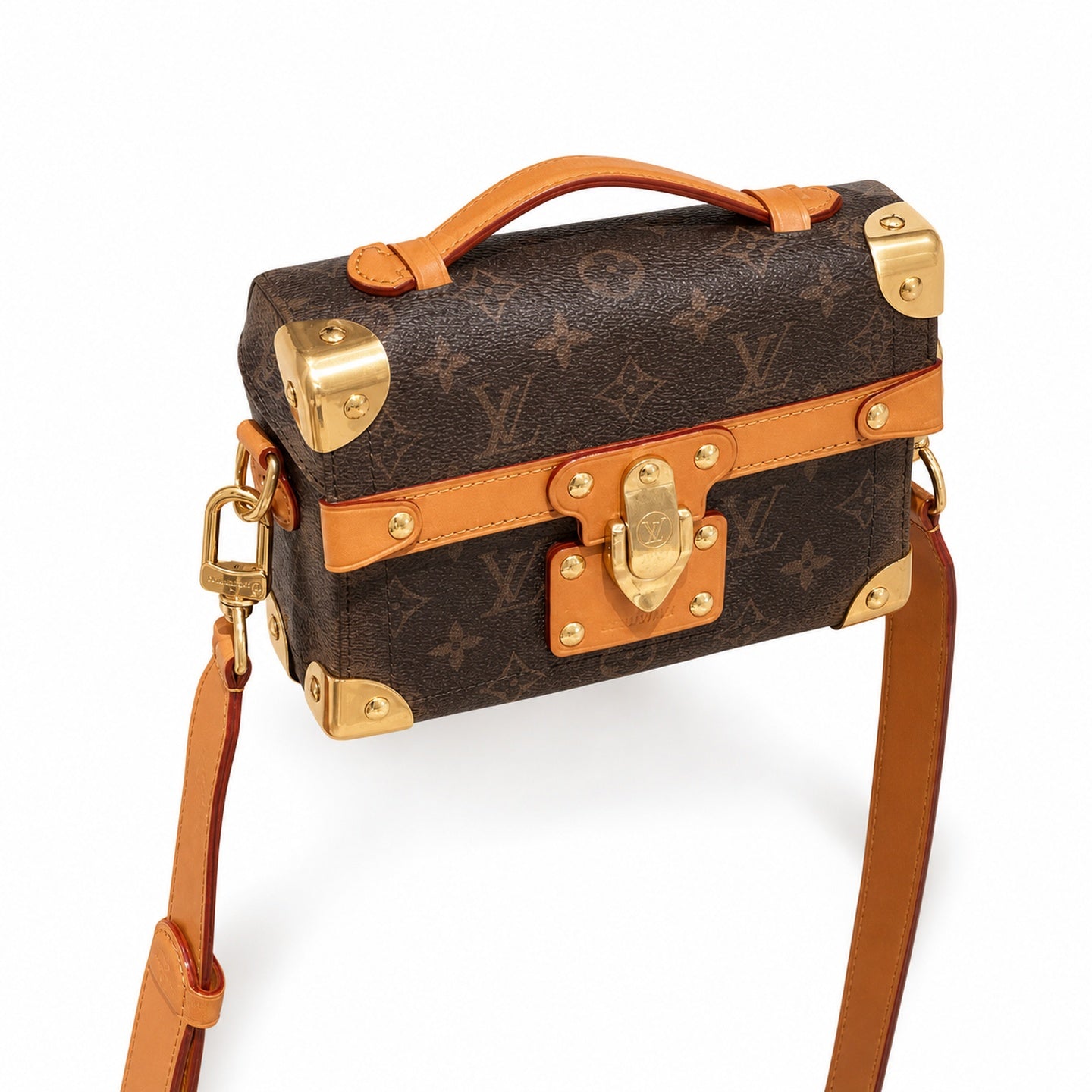 Louis Vuitton Canvas Leather Handbag