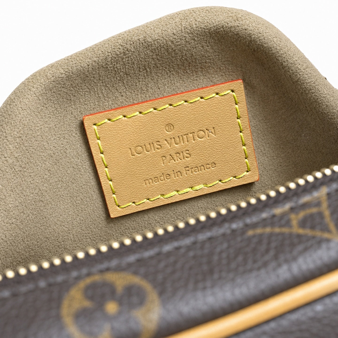 Louis Vuitton Loop Leather Handbag