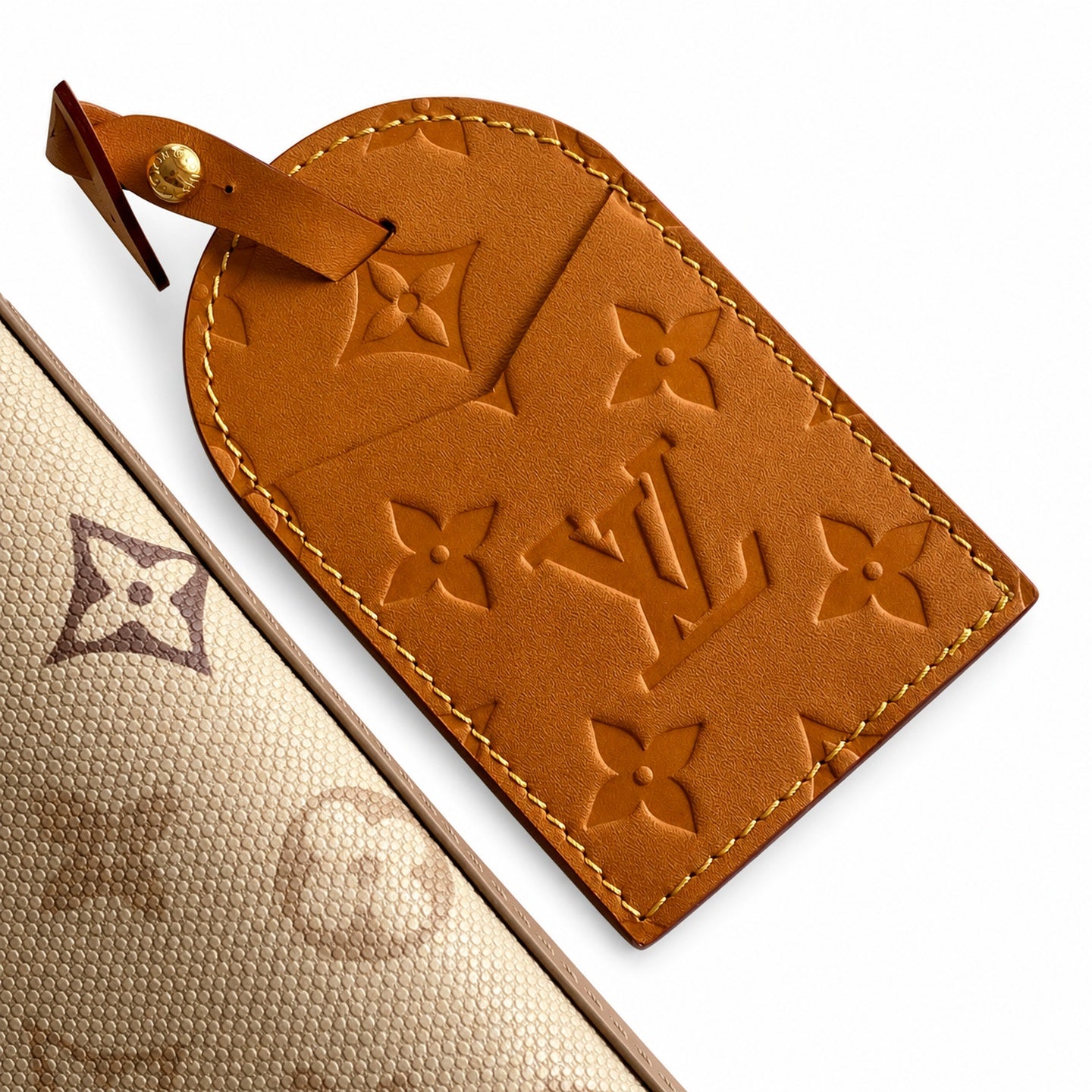 Louis Vuitton Canvas Handbag