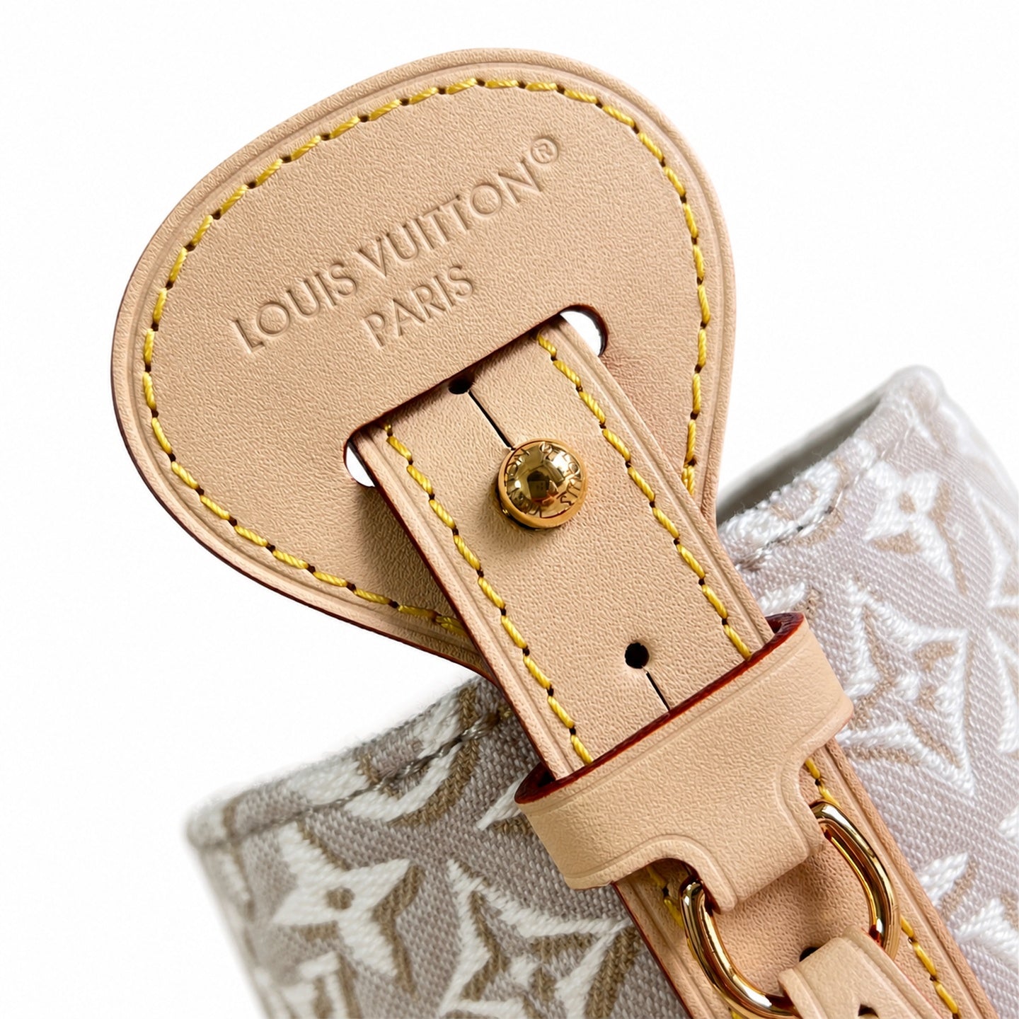 Louis Vuitton All In Embroidered Cotton Canvas Jacquard Leather Handbag