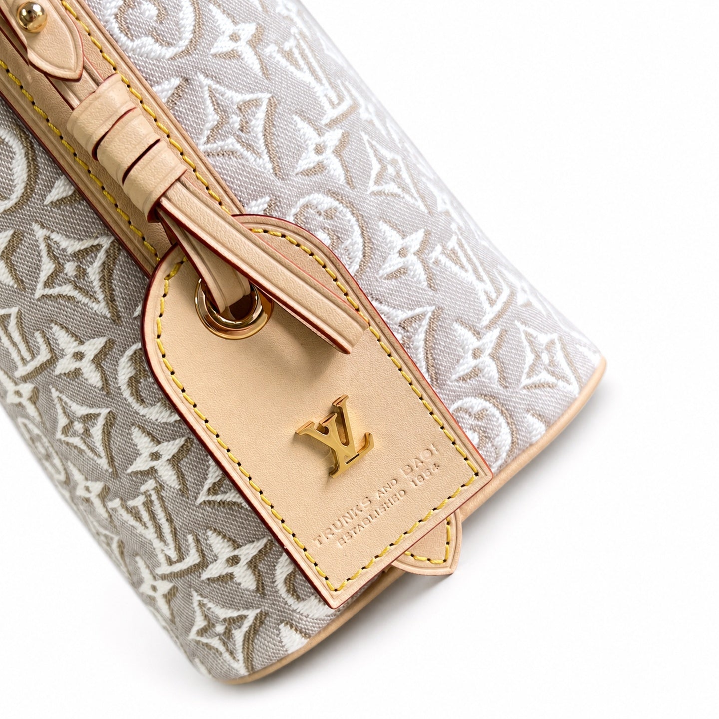 Louis Vuitton All In Embroidered Cotton Canvas Jacquard Leather Handbag