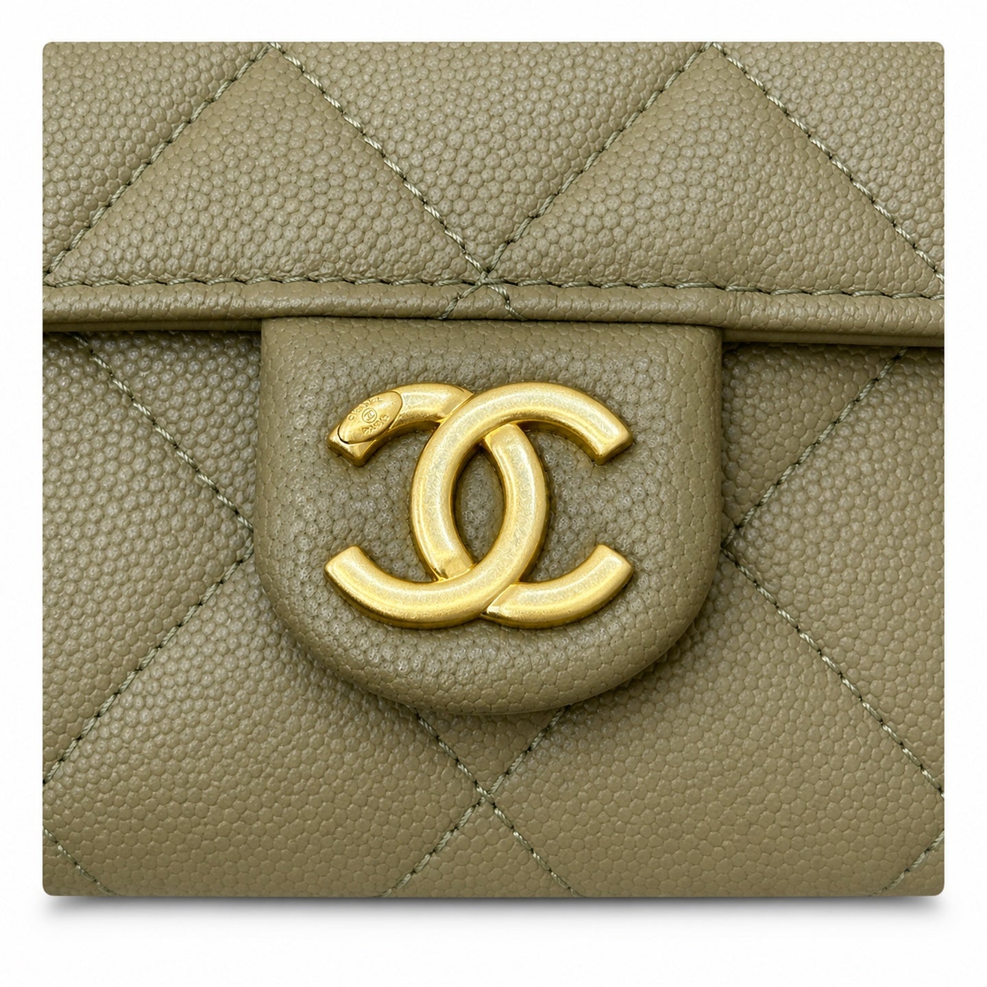 Chanel Bag Model 5631