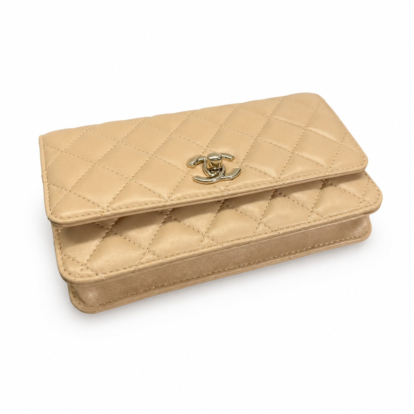 Chanel Small Leather Bag
