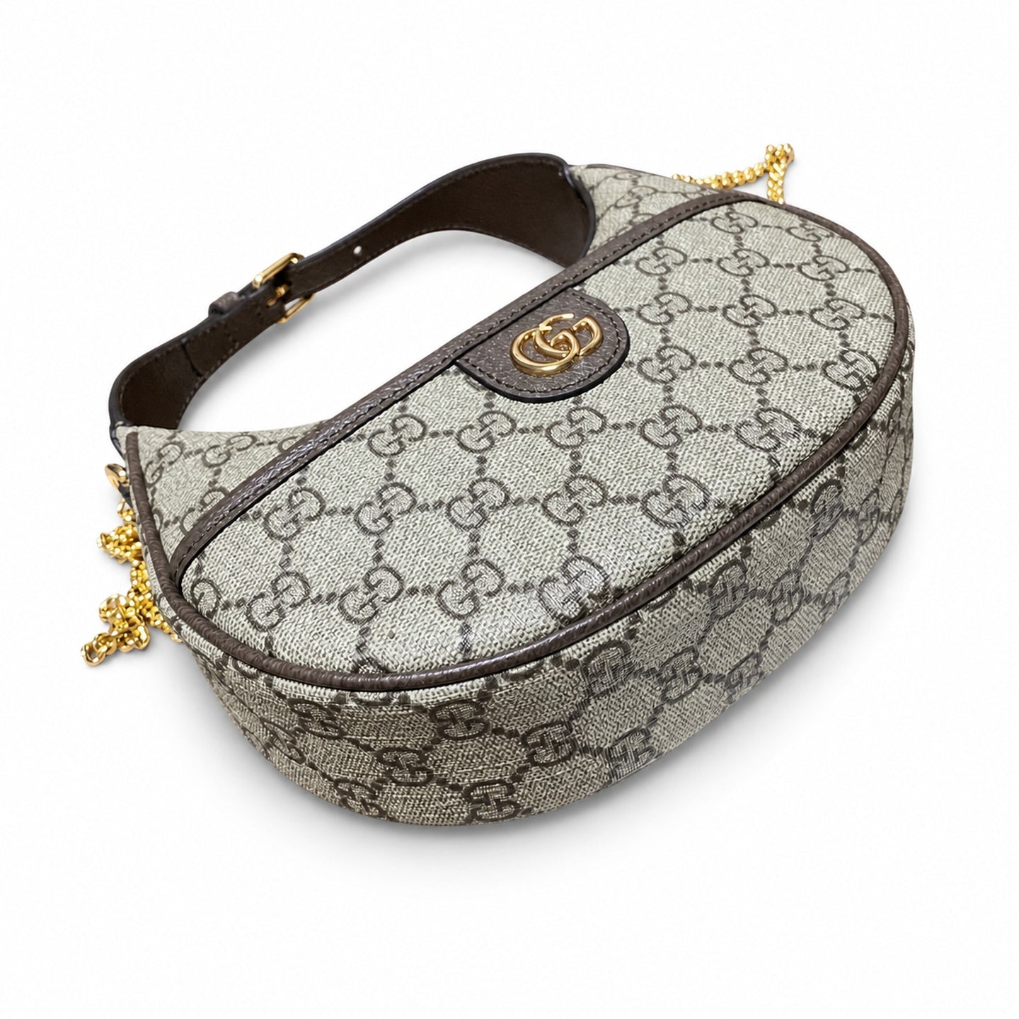 Gucci Ophidia Hobo Bag