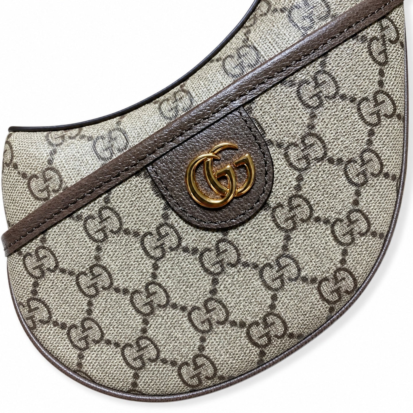 Gucci Ophidia Hobo Bag